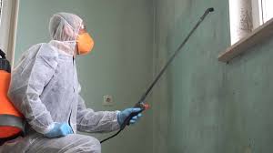 Best Industrial Mold Remediation  in Glen Dale, WV